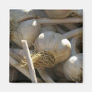 Pesquisar por alho imas Vegetal
