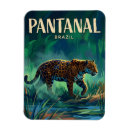 Pesquisar por pantanal imas Natureza