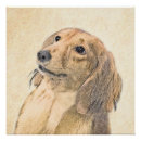 Pesquisar por comprido pôsteres pósteres Dachshund