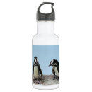 Pesquisar por pinguins casa garrafa agua Animais