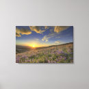 Pesquisar por pradarias impressão de canvas Paisagem