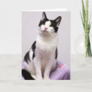 Pesquisar por tuxedo kitten cartoes White