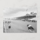 Pesquisar por cavalos pretos cartoes postais Equestre
