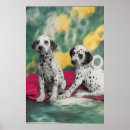 Pesquisar por dalmatian pôsteres pósteres Cão