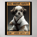 Pesquisar por karate pósteres Karatê
