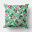 Pesquisar por mini pastor americano Pastor australiano miniatura