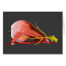 Pesquisar por arte óptica cartoes postais Trabalho de arte