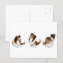 Pesquisar por sheltie cartoes postais Canino