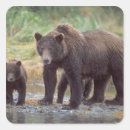 Pesquisar por ursus adesivos Onívoro