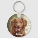 Pesquisar por pets chaveiros Cachorros