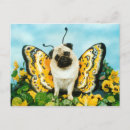 Pesquisar por borboleta primavera cartoes postais Cão