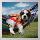 Pesquisar por hammocks pósteres Qualquer pessoa
