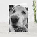 Pesquisar por best dog mom cartoes Para todos