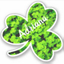 Pesquisar por nomes irlandeses adesivos Para todos