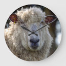 Pesquisar por diferente mas o mesmo relogios de parede Incomum