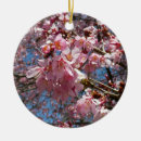 Pesquisar por flor de cerejeira ornamentos Natureza