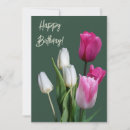 Pesquisar por tulipa cor de rosa e branca Para ela