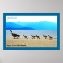 Pesquisar por canada pôsteres pósteres Aves