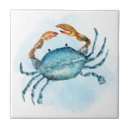 Pesquisar por caranguejo azulejos Casa de praia