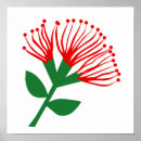 Pesquisar por plantas nativas pôsteres pósteres Árvore