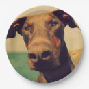 Pesquisar por do doberman Animal