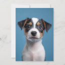 Pesquisar por russell convites Jack russell terrier