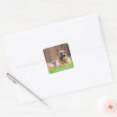 Pesquisar por german shepherd adesivos Cachorro