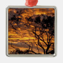 Pesquisar por oceania ornamentos Paisagem