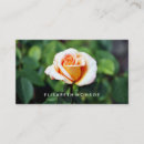 Pesquisar por laranja e rosa cartao de visita Qualquer pessoa