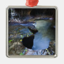 Pesquisar por entalhe ornamentos Mundo natural