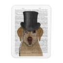 Pesquisar por laboratório imas Laboratórios amarelos