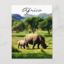 Pesquisar por rhino cartoes postais Natureza