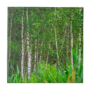 Pesquisar por natureza azulejos Floresta