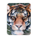 Pesquisar por animal selvagem imas Aquarela