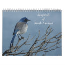 Pesquisar por aves canoras calendarios Vida selvagem