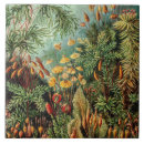 Pesquisar por decorativos azulejos Para ele