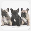 Pesquisar por pedigree adesivos Natureza