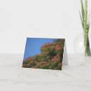 Pesquisar por silk cartoes Flowers