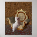 Pesquisar por meu maltês pôsteres pósteres Para ela