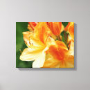 Pesquisar por arte amarela flor impressão de canvas País