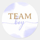 Pesquisar por revisão adesivos Revelação de gênero