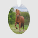 Pesquisar por bonito cavalo de natal decoração Animal