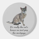 Pesquisar por gatinho imas Gato do gatinho