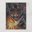 Pesquisar por striped cartoes postais Vida selvagem
