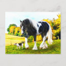 Pesquisar por cigano cartoes postais Natureza