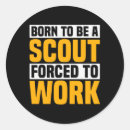 Pesquisar por escoteiros adesivos Campo de escuta