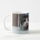Pesquisar por gato curioso canecas Humor