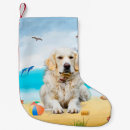 Pesquisar por golden retriever meias de natal Animal de estimação