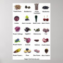 Pesquisar por fruta roxa pôsteres pósteres Roxo