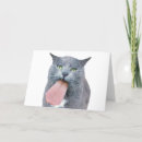 Pesquisar por gatos engraçados cartoes Animais